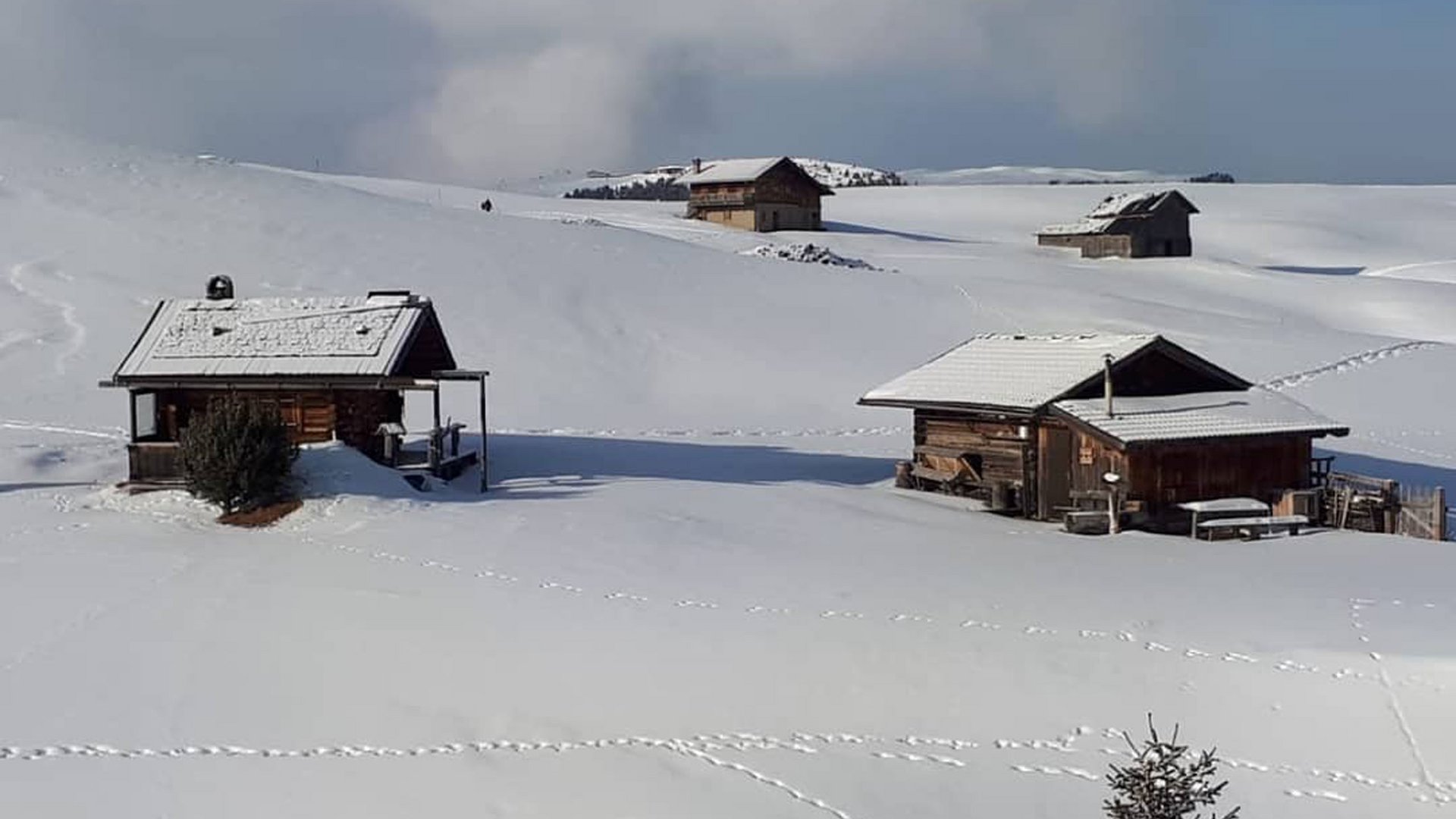 A winter holiday on the Alpe di Suisi/Seiser Alm